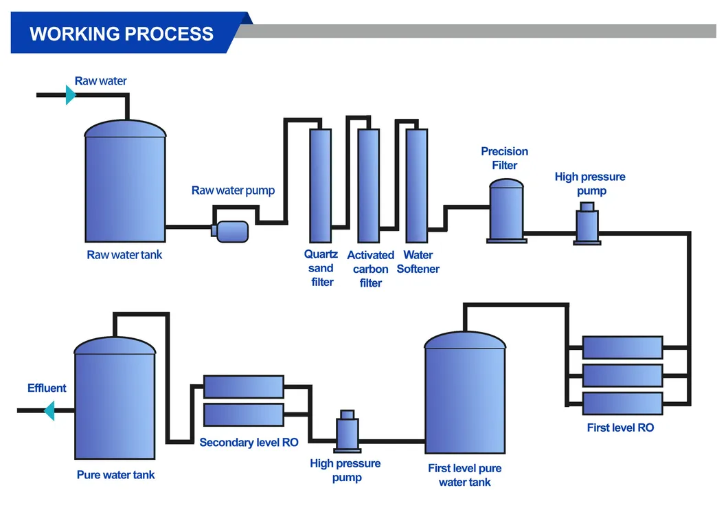 Detailed Membrane System View