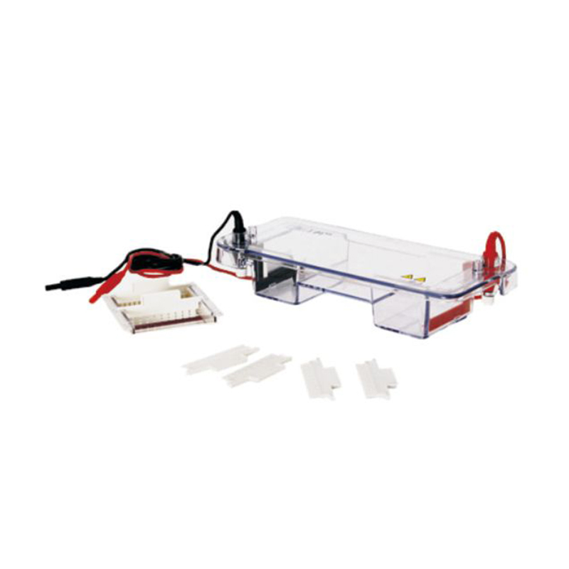 Electrophoresis Power Supply DNA Sequence Analysis Gel Electrophoresis System