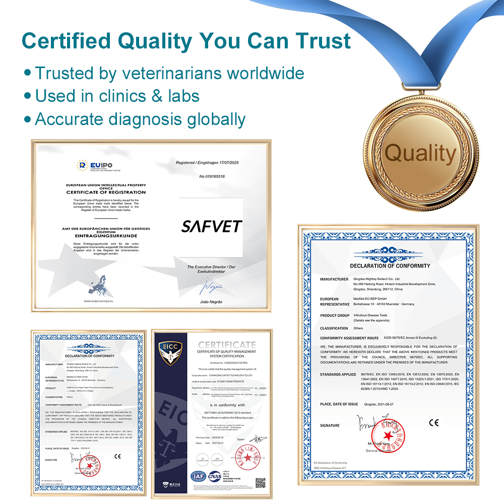 Dog 3 Way Test Kit EHR ANA BAB Test Canine Ehrlichia Anaplasma Babesia Gibsoni Combo Test Kit