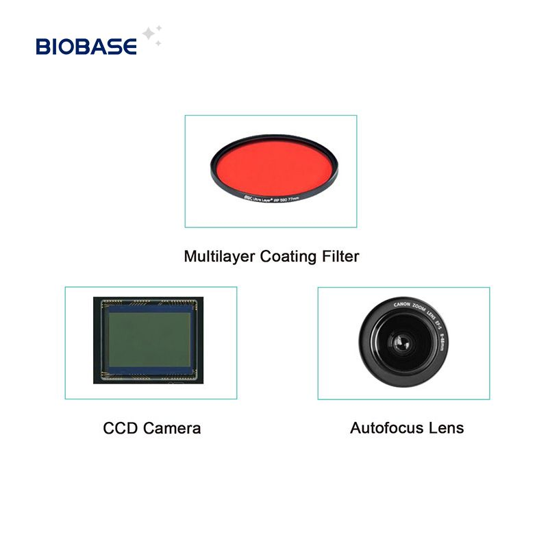 Biobase Gel Electrophoresis PCR Automatic Gel Imaging Analysis System