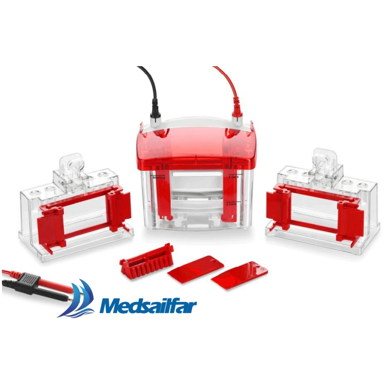 Medical Lab DNA Analysis Equipment Vertical Mini Electrophoresis Tank Systems