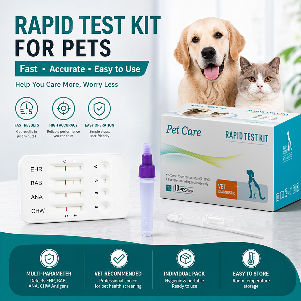 Dog 3 Way Test Kit EHR ANA BAB Test Canine Ehrlichia Anaplasma Babesia Gibsoni Combo Test Kit