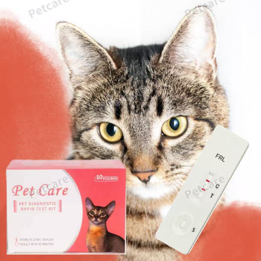 Low Price No MOQ Veterinary FIPV Rapid Test Kit - Feline Infectious Peritonitis Virus Ag Reagent VID for Cat Disease Diagnosis