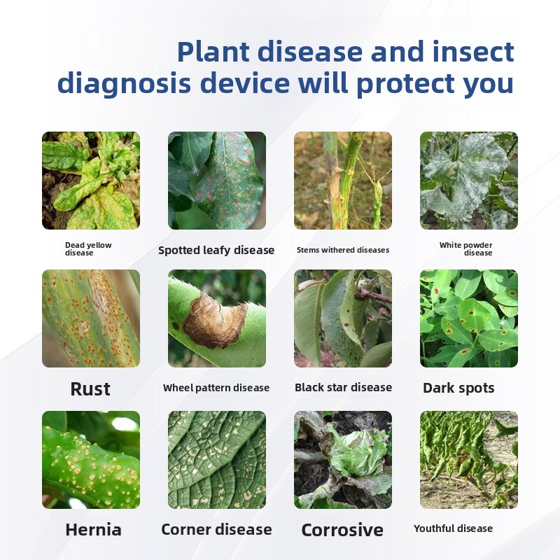 Plant Disease Rapid Diagnosis Instrument Crop Disease Bacterial Fungal Virus Detector with 1 Year Warranty