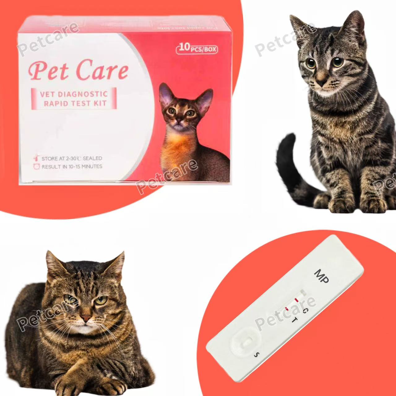 Low Price No MOQ Veterinary FIPV Rapid Test Kit - Feline Infectious Peritonitis Virus Ag Reagent VID for Cat Disease Diagnosis