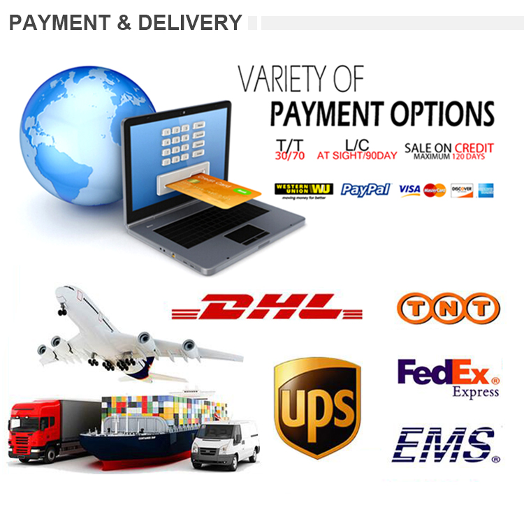 Shipping and payment options