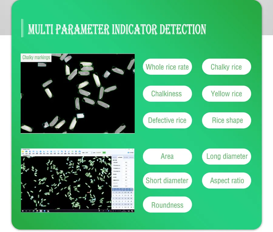 Detection Interface