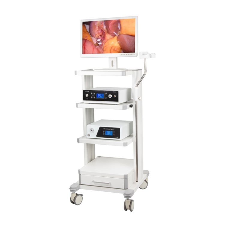 Diagnostic Spine Video Endoscope Endoscopy Instrument Imaging System for Surgery Examination