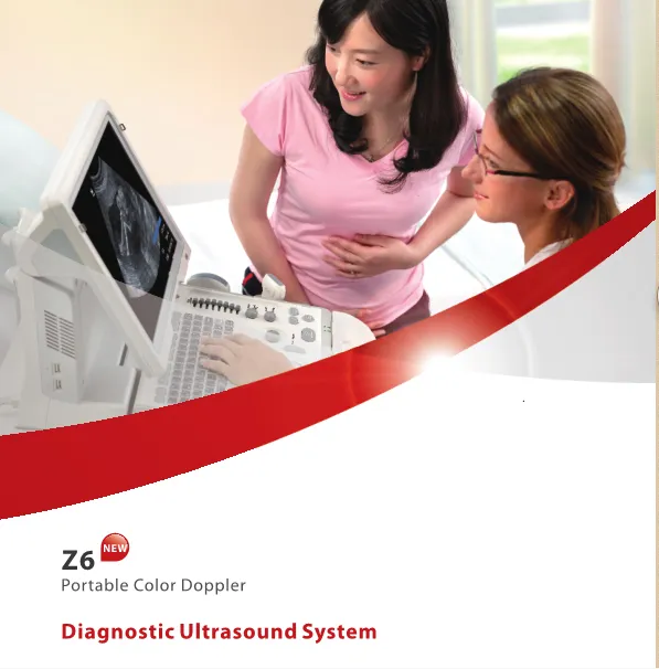 Ultrasound Display 4