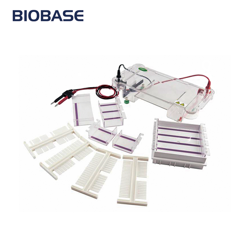 Biobase Electrophoresis System Gel Document Imaging System for Lab Protein DNA Analysis
