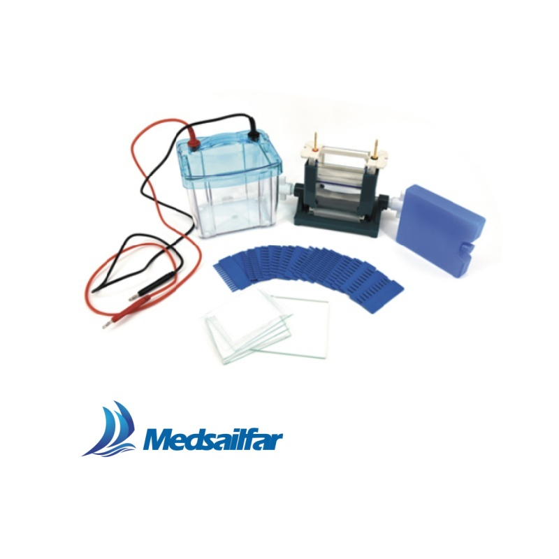 Medical Lab DNA Analysis Equipment Vertical Mini Electrophoresis Tank Systems