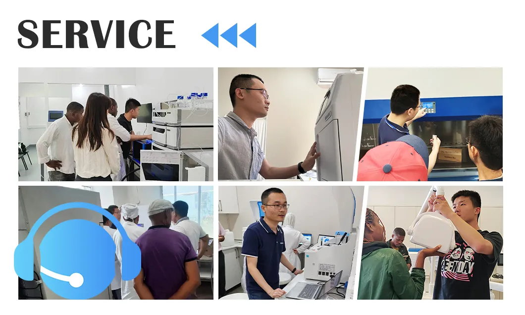 Global Service