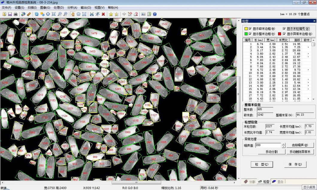 Rice Analysis Process 1