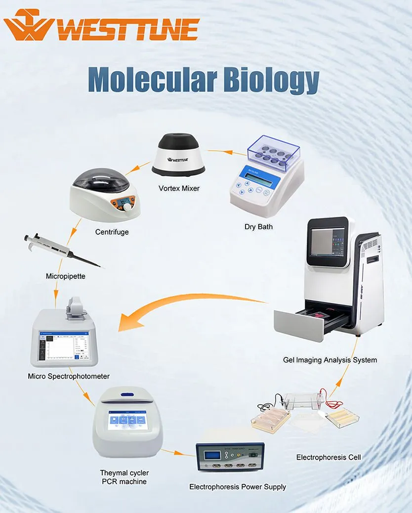 Gel Analysis Imaging System