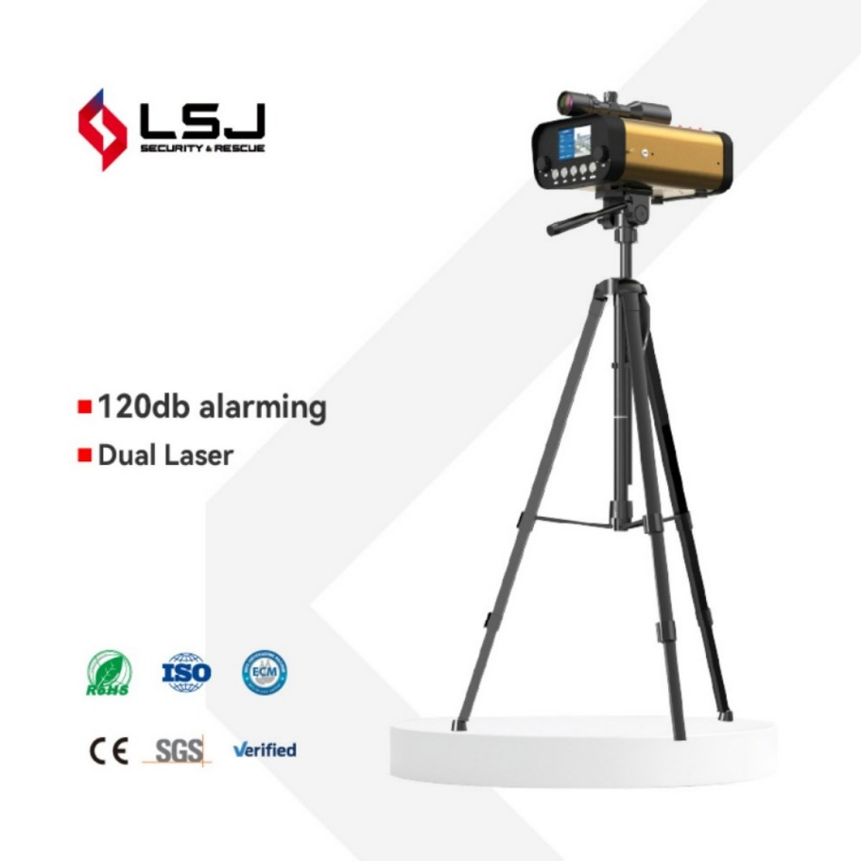 Real-Time Displacement Measurement System for Structural Integrity Analysis