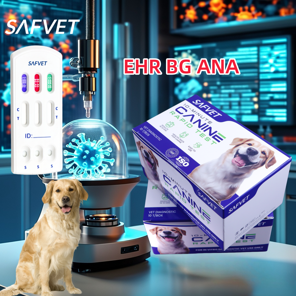 Veterinary Babesia Canine Diagnostic BG BC Test Pruebas Babesia Bab Gibsoni Ab Caballi Antibody In Dog Diagnosis Rapid Test Kit
