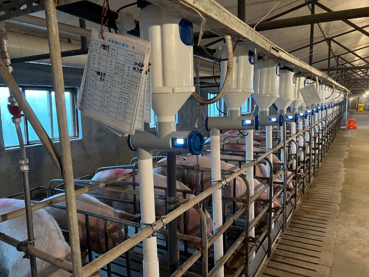 Optimize Swine Production Using K16PRO Multi-Sensor Fusion and Real-Time Data Analysis Platform