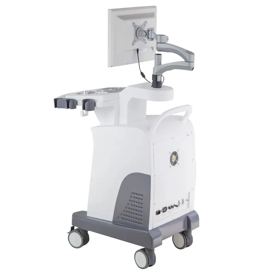 Ultrasound System View 2