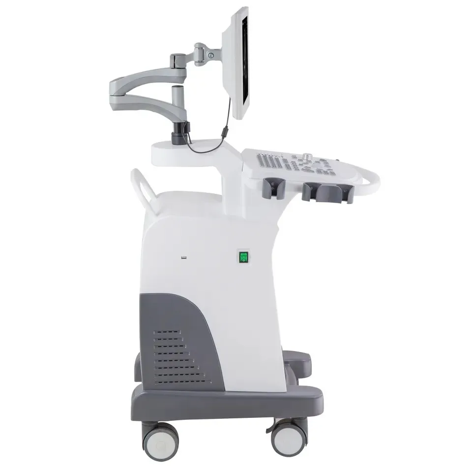 Ultrasound System View 5