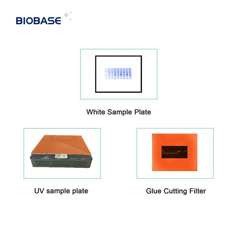 Biobase DNA and Protein Automatic Gel Imaging Analysis System with HD Camera