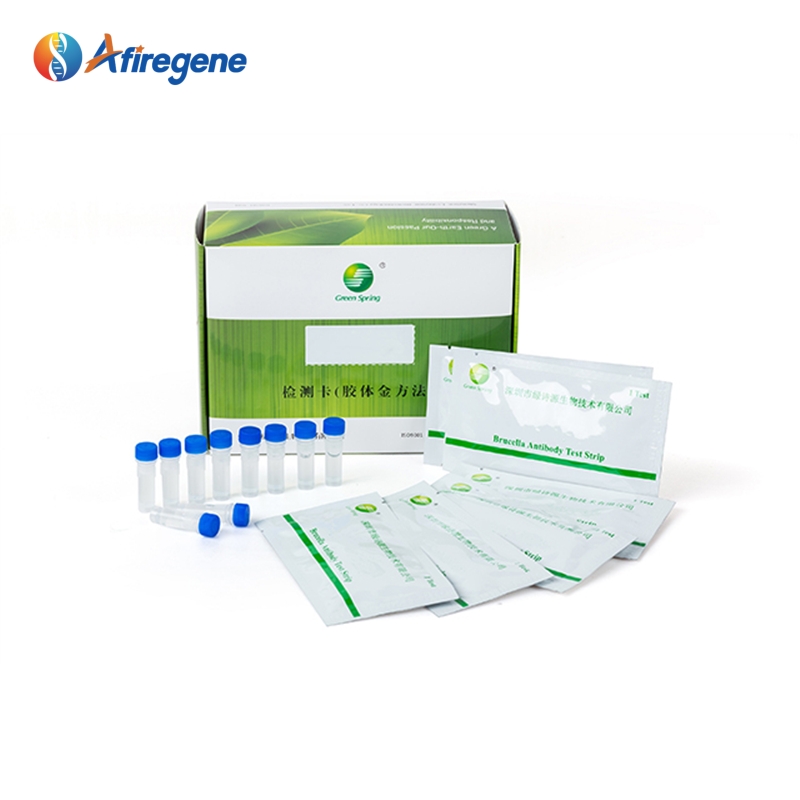 Antigen Rapid test Kit
