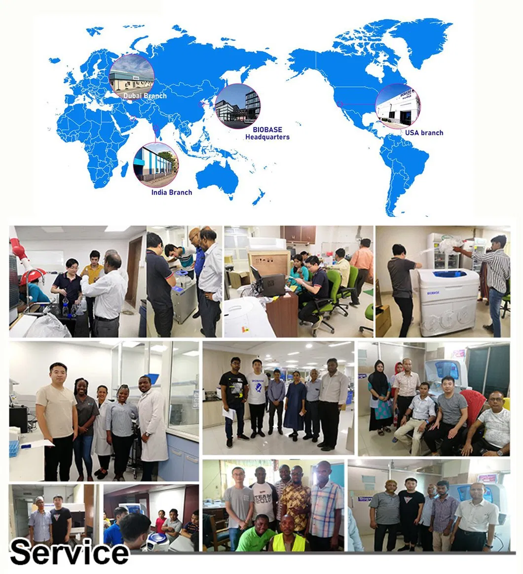 Global Service Network