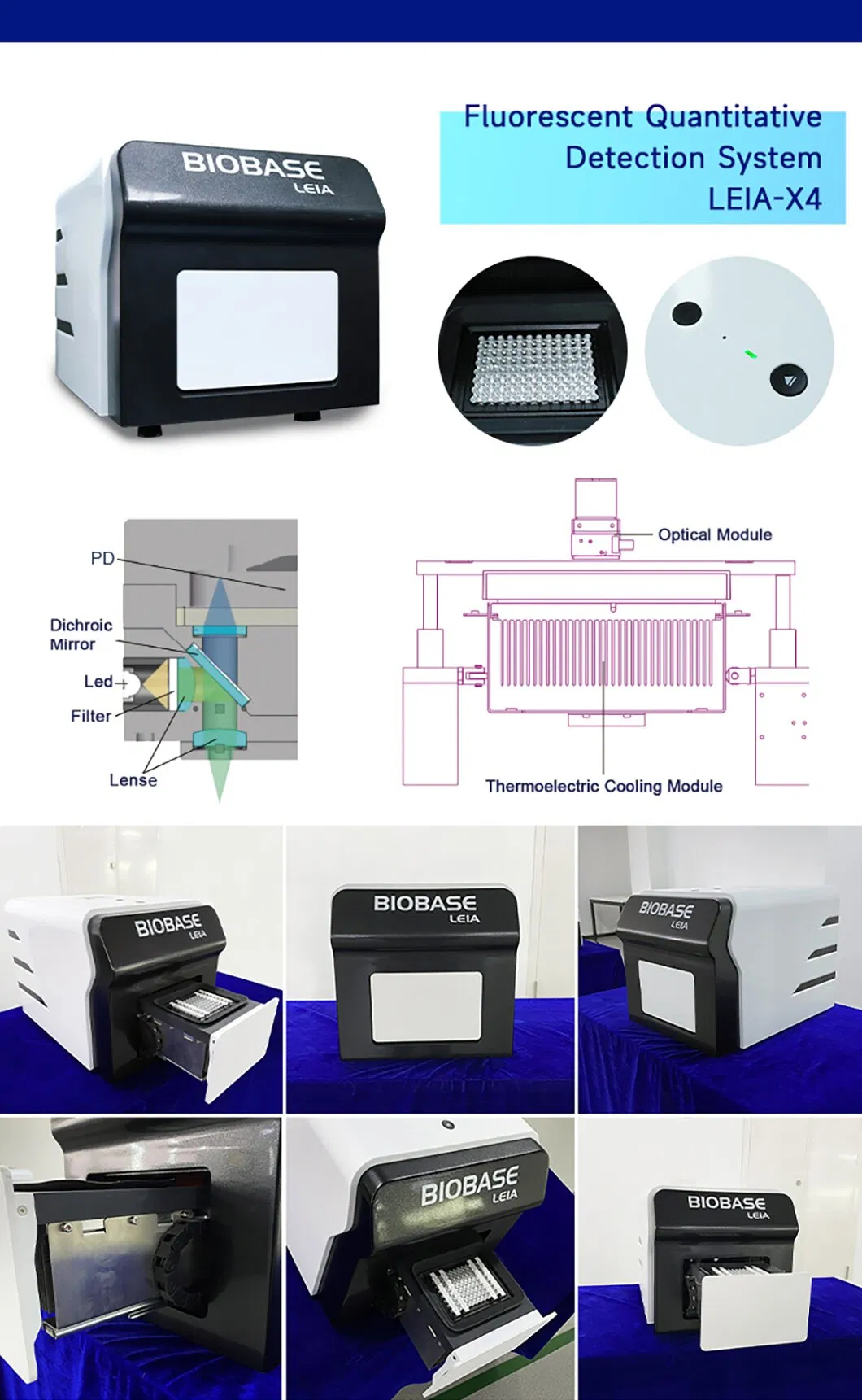 Real Time PCR System