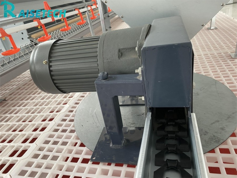Chain Feeding System for Chickens: CE Certified with 24-Month After-Sale Support
