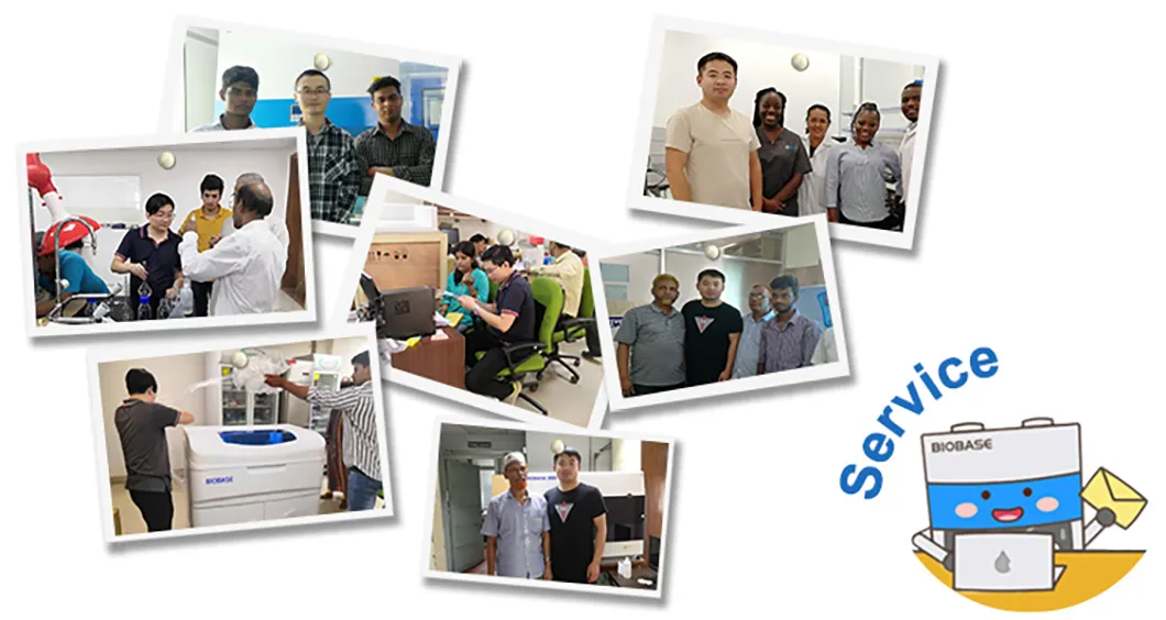 Service Team