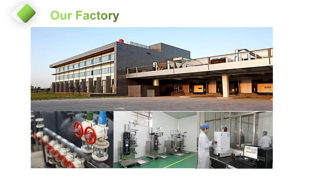 Factory Overview