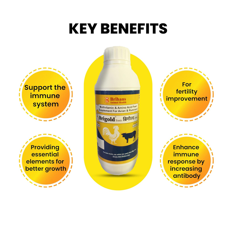 Centre-Multivitamins Oral 1000ml &nbsp;Animal Health Brigold Tonic|Oral Liquid Feed Supplement of Multivitamins,Enzymes &amp; Amino Acids,Vitamin D3,B12 for Poultry,Catt
