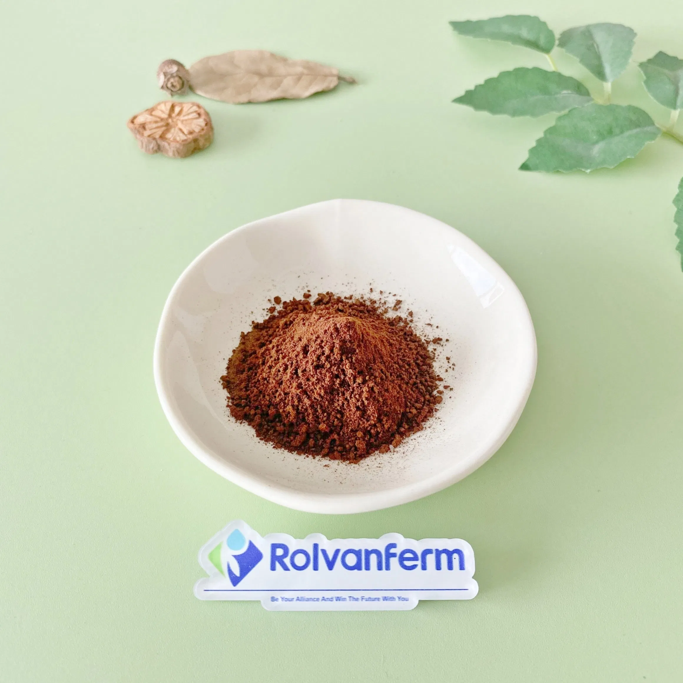 Advanced Liposome PQQ for Enhanced Absorption and Stable Nutraceutical Formulations