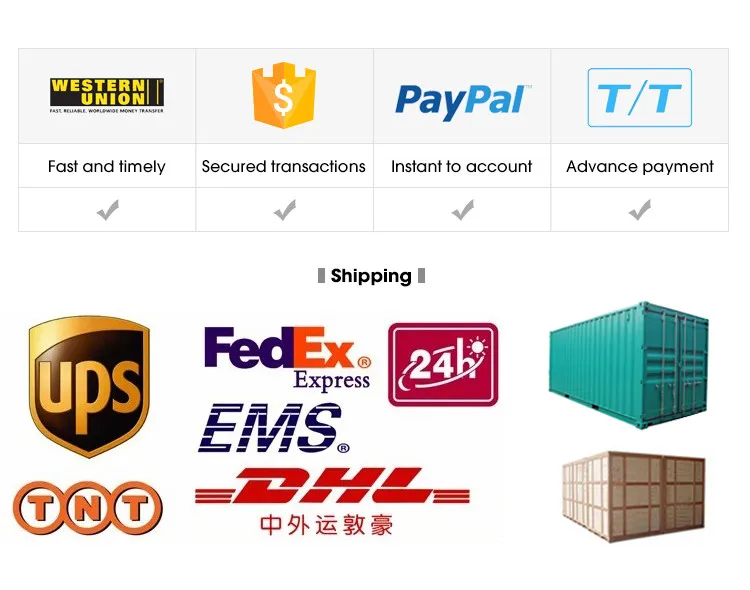 Shipping Logistics