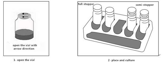 Biochemical Identification Kit
