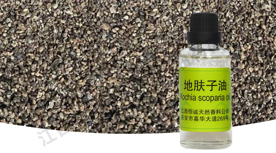The Manufacturer Supplies Natural Plant-Derived Seed Oil Plant Essential Oil