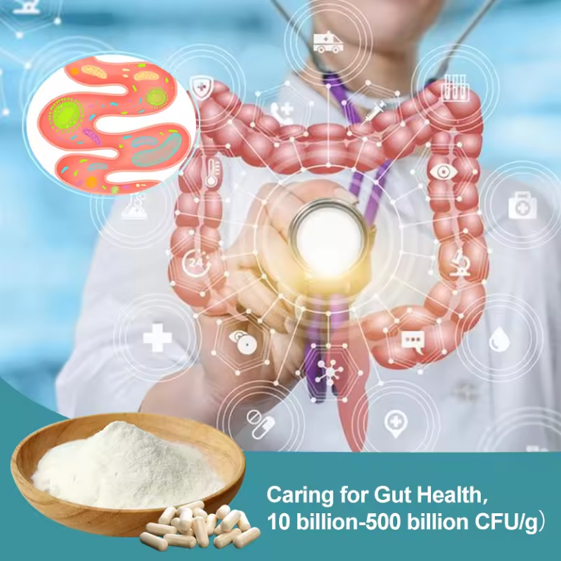 Olli Probiotic Capsules 4o Billion Cfu OEM/ODM/Obm Organic Prebiotics Capsules