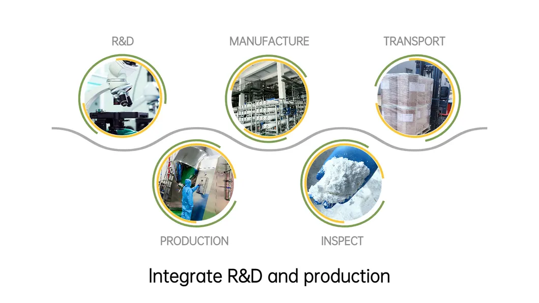 Production Line and Facilities