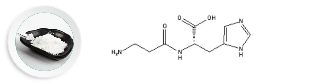 L-Carnosine