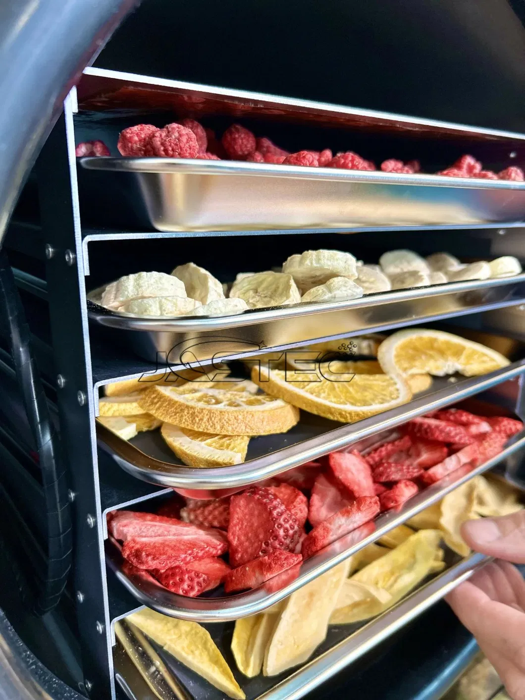 Vacuum Freeze Dryer