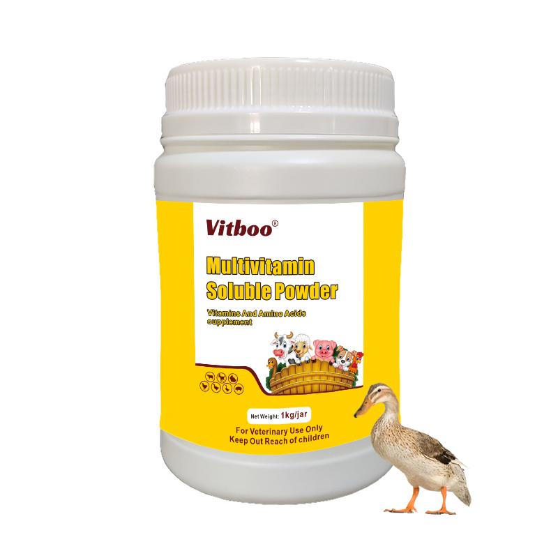 Multivitamin Oral Liquid Supply Vitamin and Amino Acids for Poultry Cattle