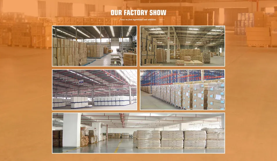 Factory Facility