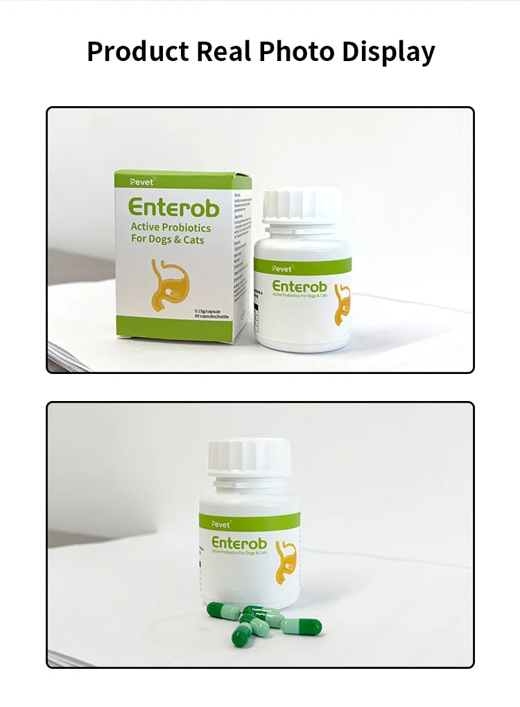 Enterob Pet Probiotics 112b Cfu Gut Health Supplement for Dogs Cats