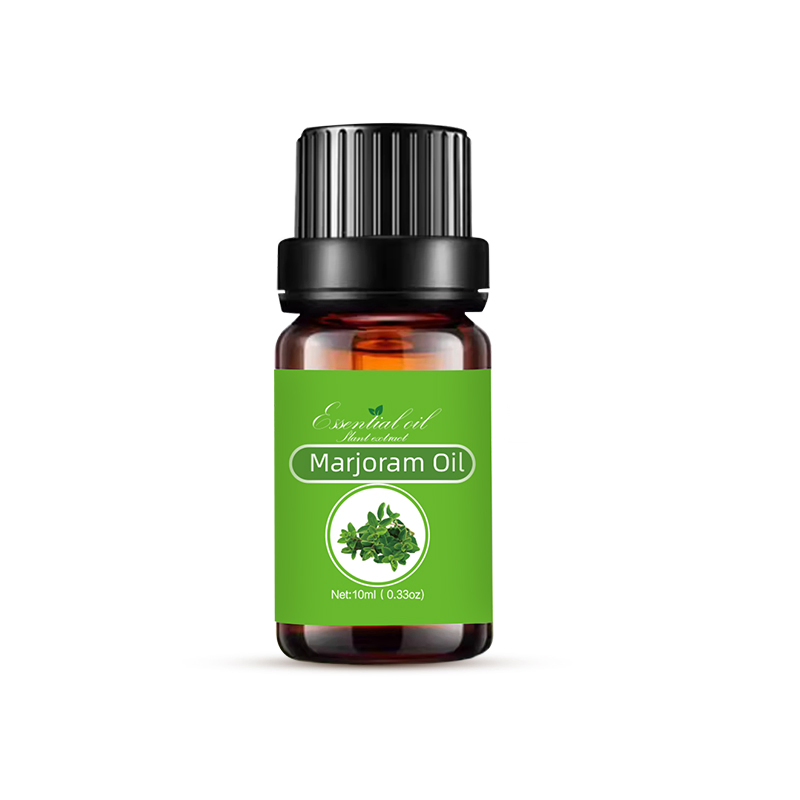 Essential Oil Manufacturers Supply Natural Plant-Derived Oregano Oil
