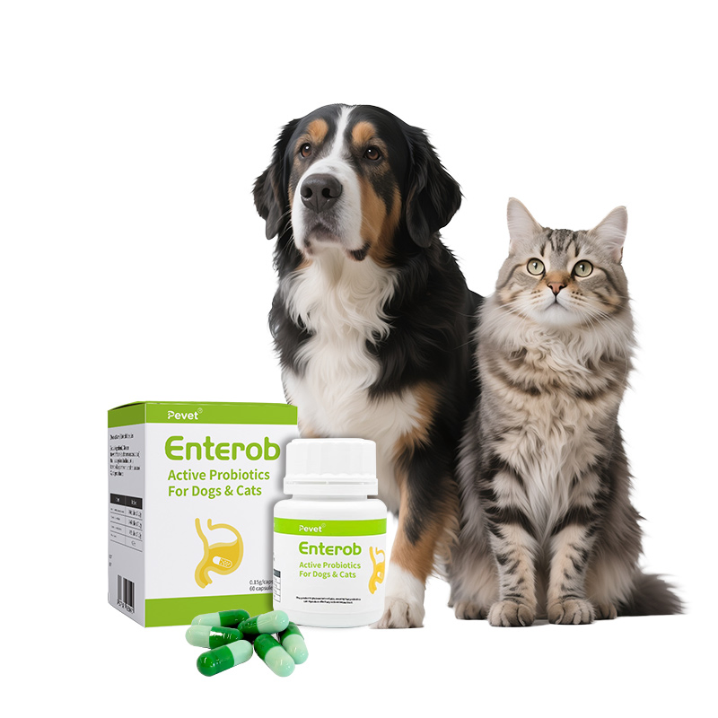 Pevet Enterob Pet Probiotics 112b Cfu Gut Health Supplement for Dogs Cats