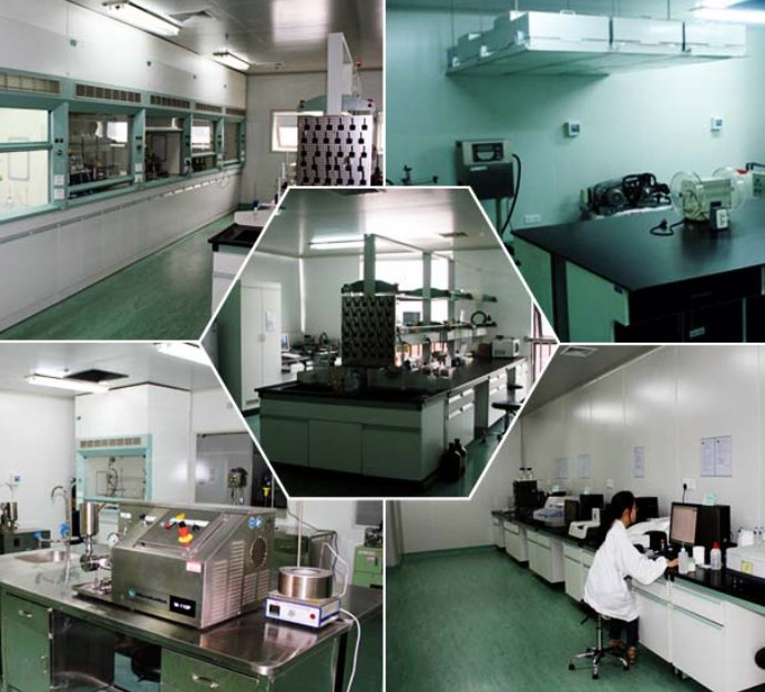 Factory Price Food Grade Crospovidone PVPP (CAS 9003-39-8) Organic Intermediate in White Powder Form