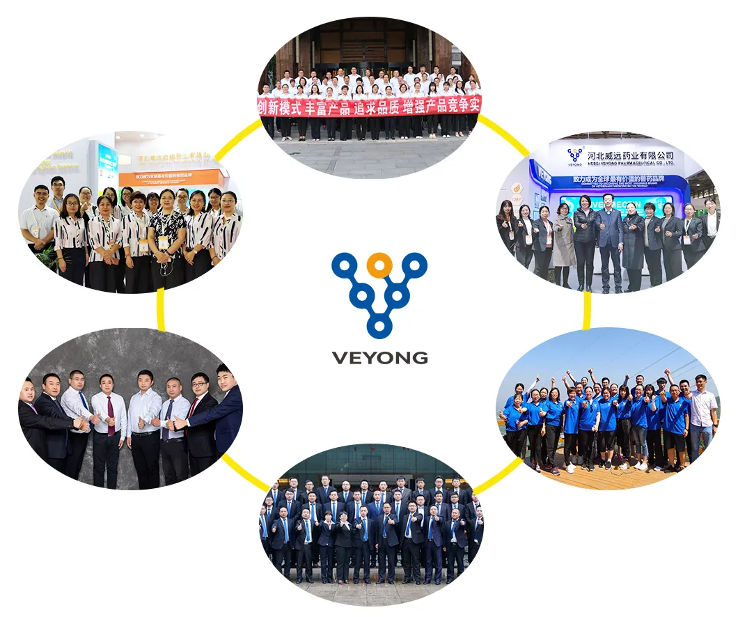 Veterinary Pharmaceutical Experts Group & Team Portrait