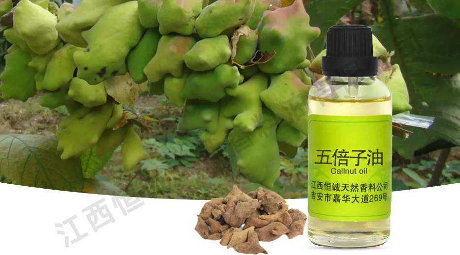 Gallnut Oil 2