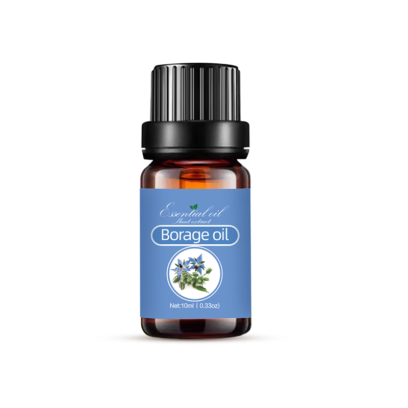 Manufacturers Supply Borage Oil Derived From Natural Plants
