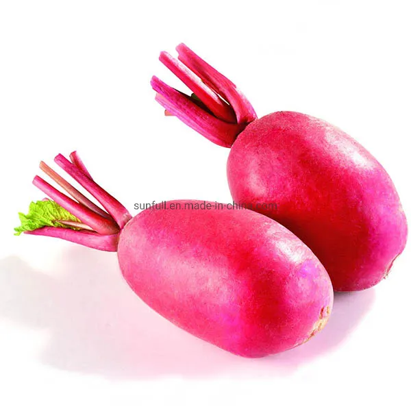 Natural Food Colorant Radish Red Pigment Raphanus Sativus Anthocyanins