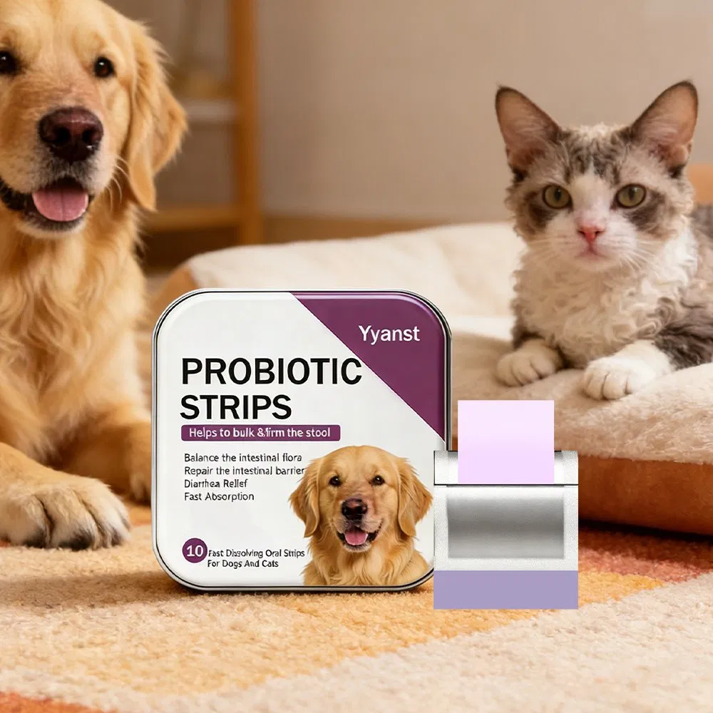 Pet Probiotic Boost Appetite Improve Gut Flora Naturally All Day Film